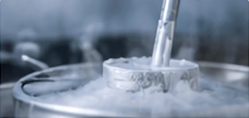 Labeled cryogenic sample containers