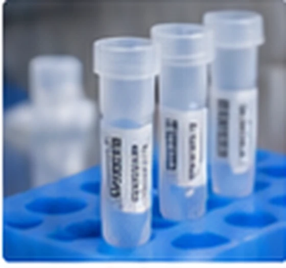 Labeled microtubes